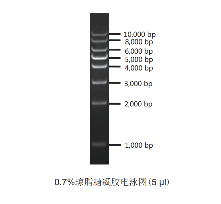 预期2.png 预期2.png